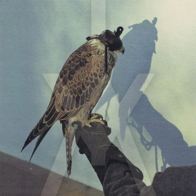 Iceage - You're Nothing on CD