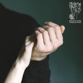 Birds In Row - We Already Lost The World... 