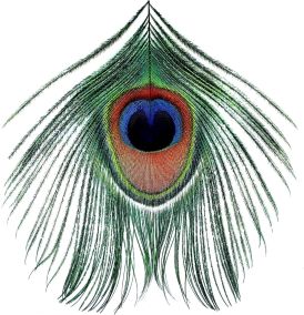 XTC - Apple Venus Vol. I... 