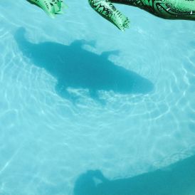 Shopping - The Official Body... 