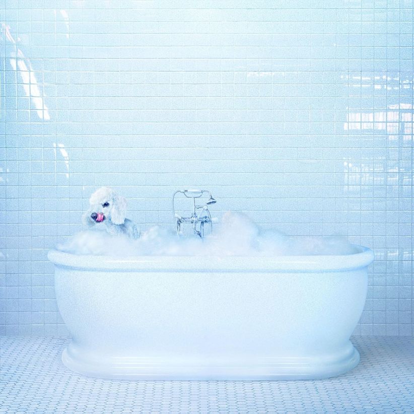 Frankie Cosmos - Vessel on CD
