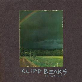 Clipd Beaks - To Realize... 