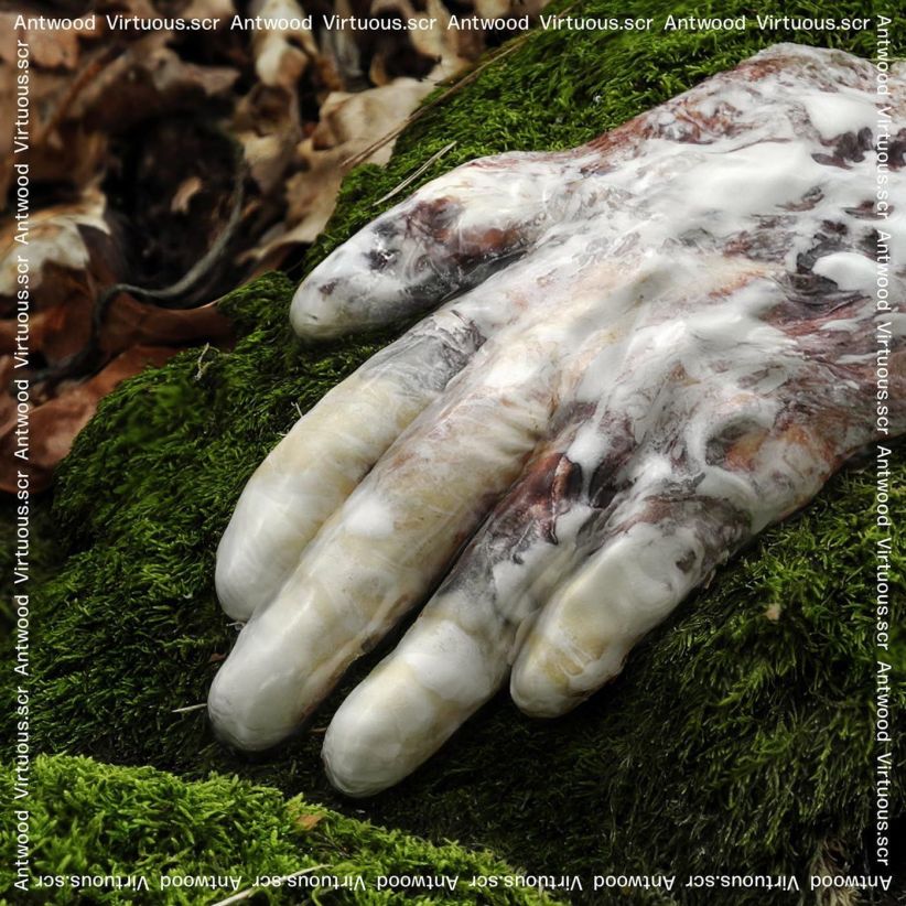 Antwood - Virtuous.Scr on CD