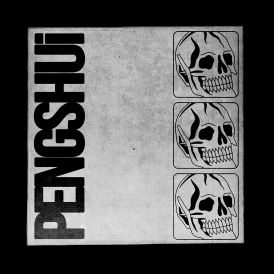 PENGSHUi - PENGSHUi... 