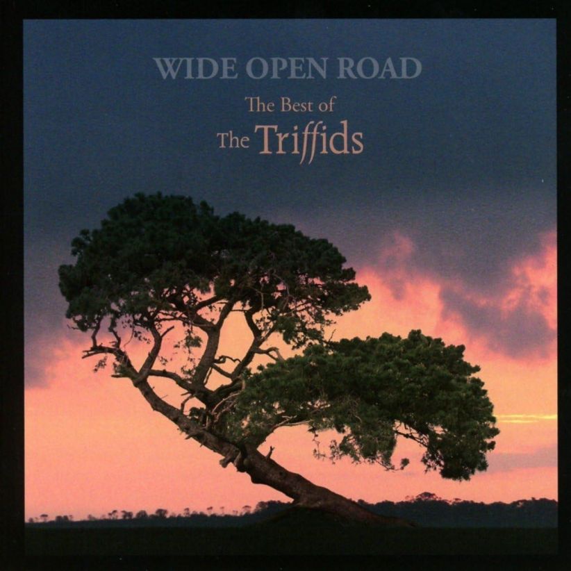 The Triffids - Wide Open Road - The Best of the Triffids on CD