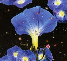 Sarah Louise - Nighttime Birds And Morning Stars... 