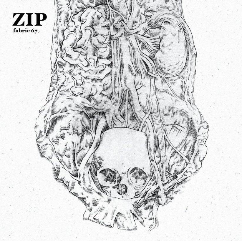 Zip - Fabric 67: Zip on CD