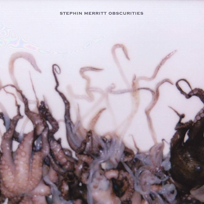 Stephin Merritt - Obscurities on CD
