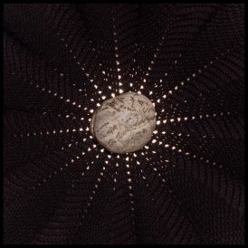 Nat Baldwin - In The Hollows... 