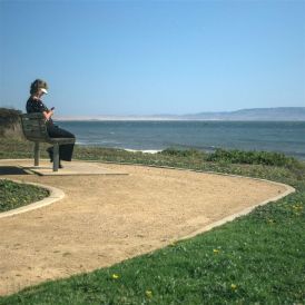 Disheveled Cuss - Disheveled Cuss... 