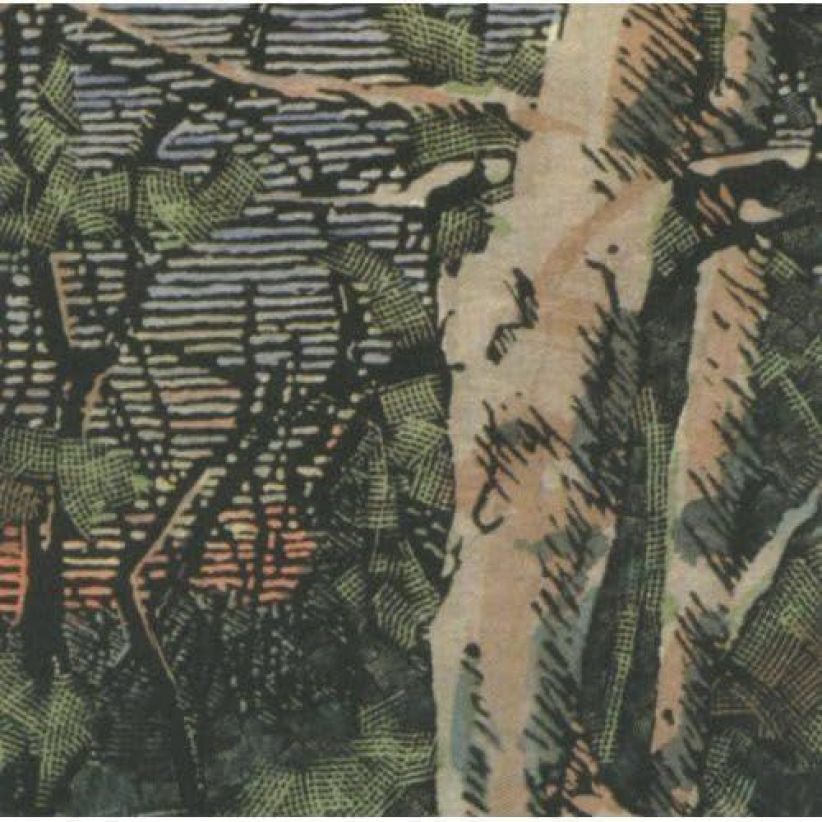 Anomoanon - Asleep Many Years In the Wood on CD