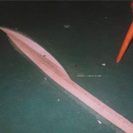 Tarentel - Ephemera... 