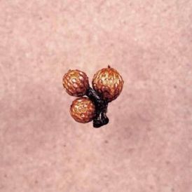 Big Sir - Und Die Scheibe Andert Sich Immer... 