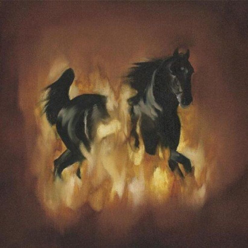 Besnard Lakes - The Besnard Lakes Are The Dark Horse on CD