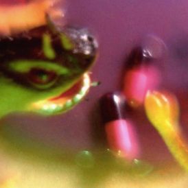 Bush Tetras - Take The Fall... 