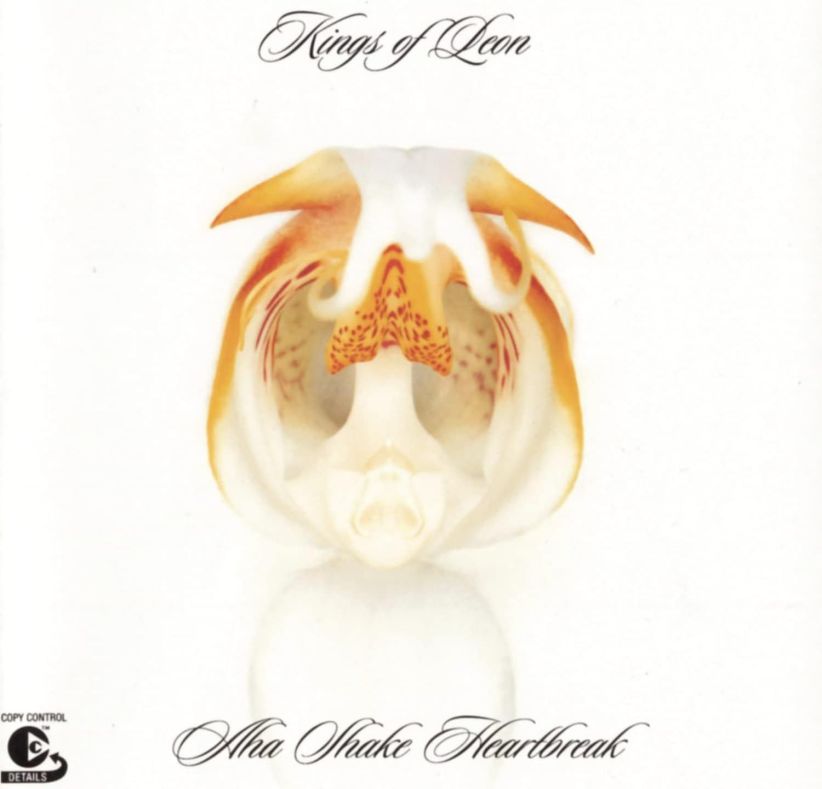 Kings Of Leon - Aha Shake Heartbreak on CD