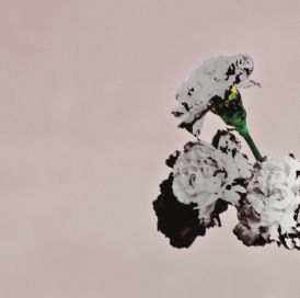 John Legend - Love In The Future (Special Edition)... 