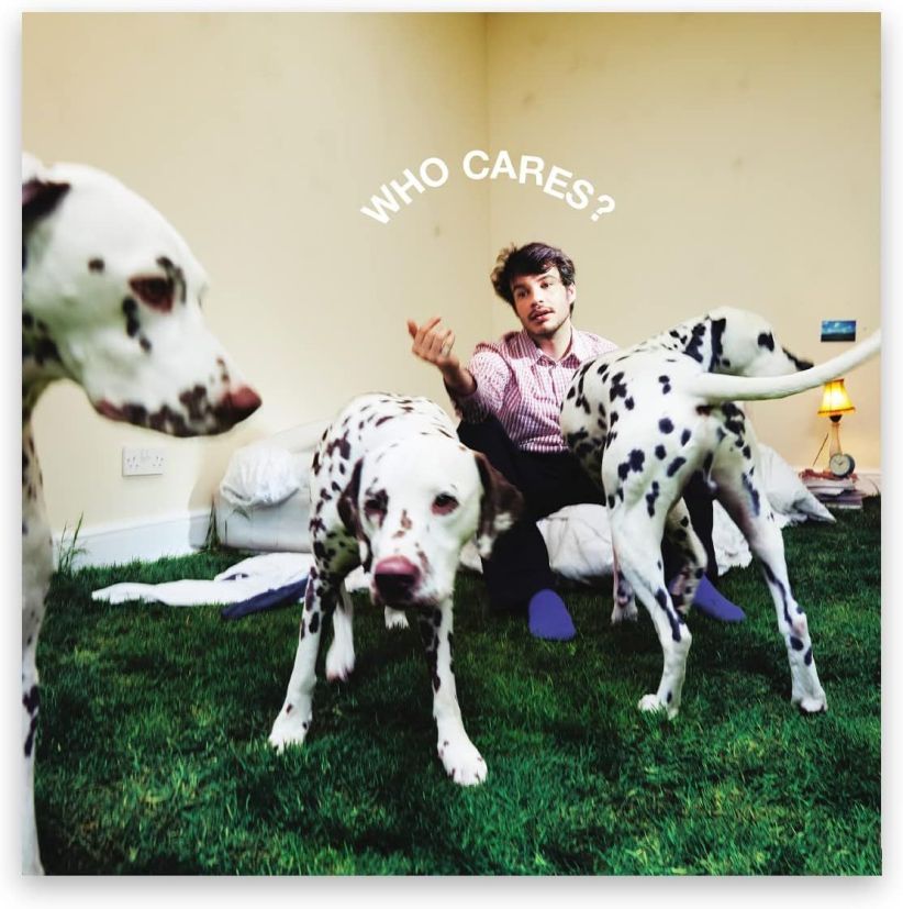 Rex Orange County - Who Cares? on CD