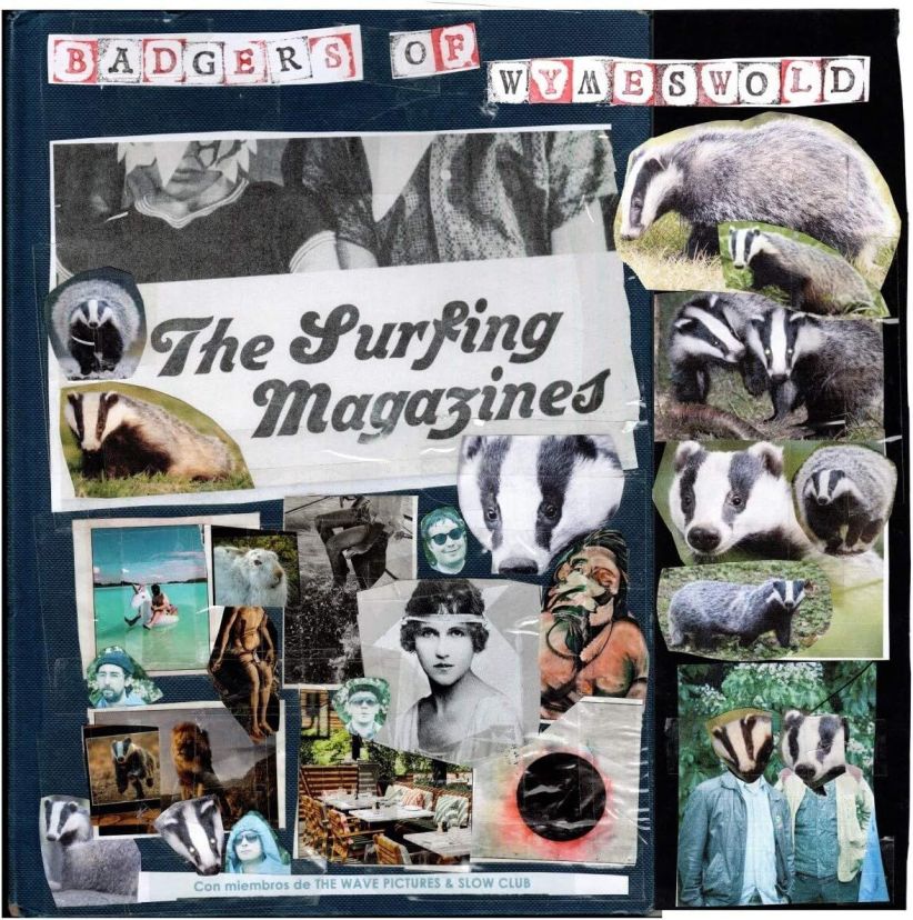 The Surfing Magazines : Badgers of Wymeswold on CD