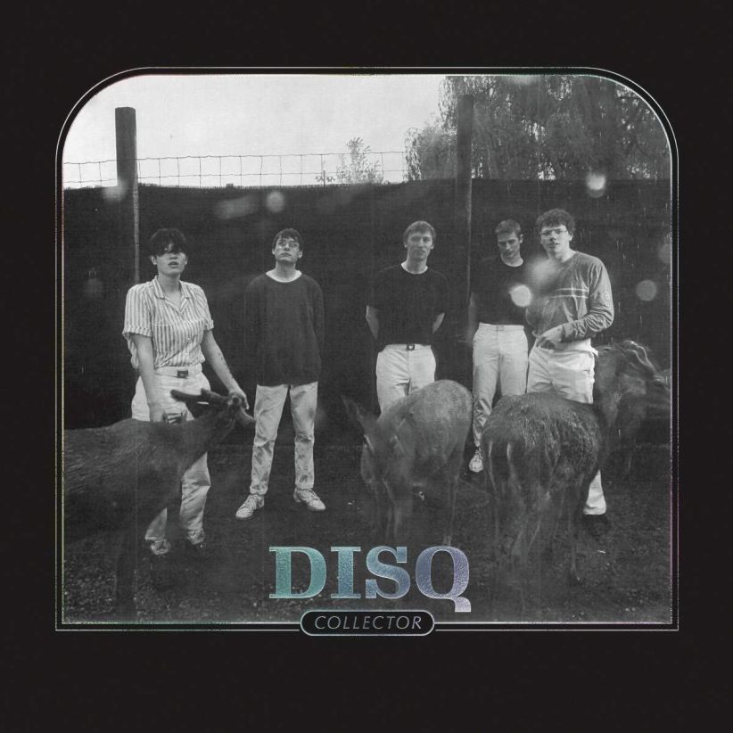 Disq - Collector on CD
