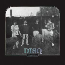 Disq - Collector... 