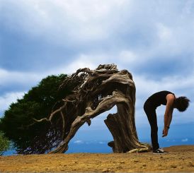 Brian May - Another World (Standard CD inc. 16-page booklet)... 