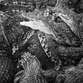 Emilie Levienaise Farrouch - Like Water Through The Sand... 