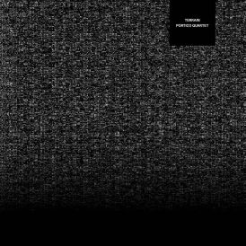 Portico Quartet - Terrain... 