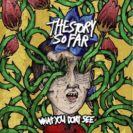 The Story So Far - What You Don't See... 