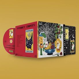 Parquet Courts - Sympathy For Life... 