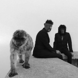 Pelomono - Gibraltar... 