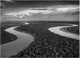 Luciana Souza & WDR Big Band Cologne - Storytellers... 