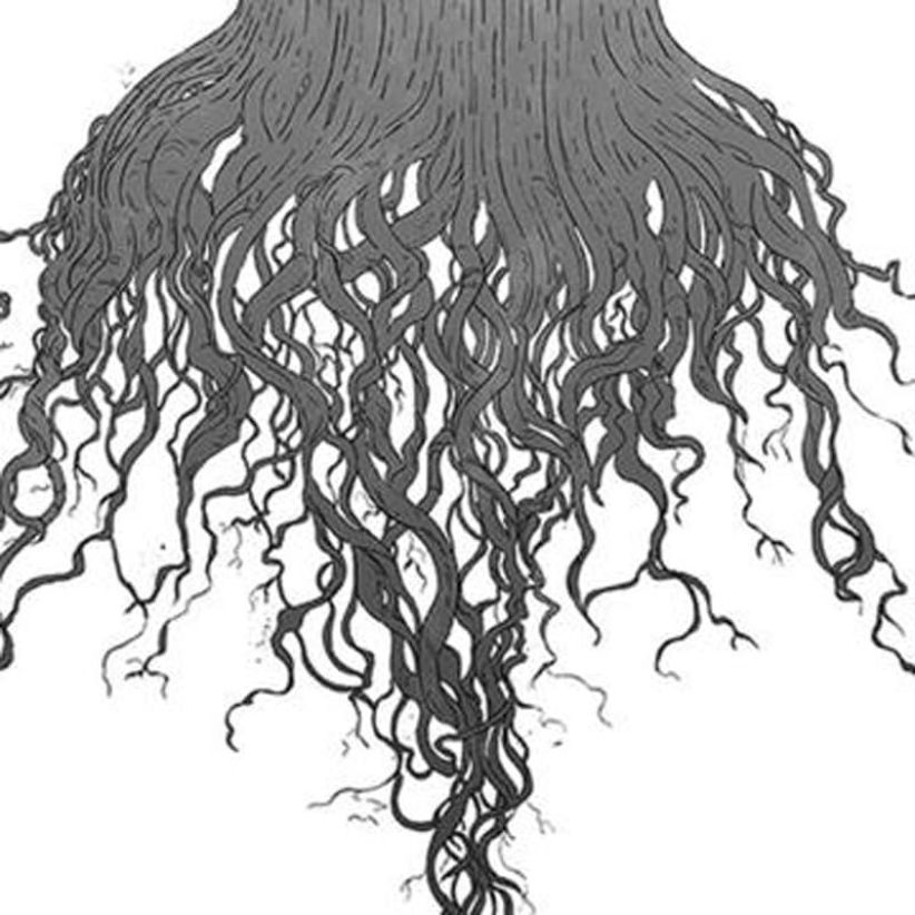 Meursault - Crow Hill on CD
