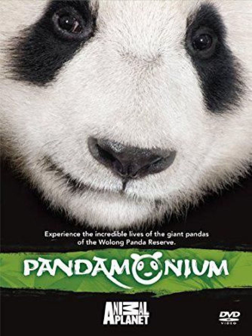 Pandamonium Part 1 on DVD